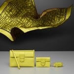 Delvaux Absinthe Carre Brillant Magique/Presse Clutch/Visite Porte Clefs Bags