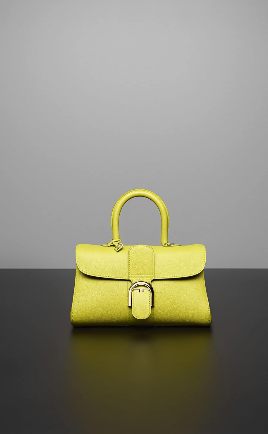 Delvaux Fall/Winter 2016 Bag Collection Featuring the Tempête Mini