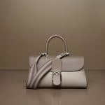 Delvaux Camaieux Tourterelle Brillant East/West Bag