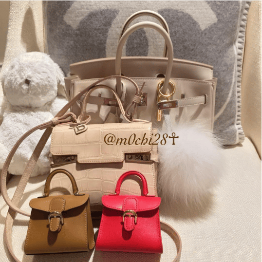 Delvaux Brillant Charm cognac