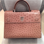 Dior Brown Ostrich Diorever Bag