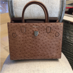 Dior Brown Ostrich Diorever Bag 2
