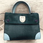 Dior Dark Green Calf Hair Mini Diorever Bag 2