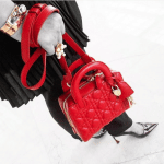 Dior Red Lambskin Lily Bag 3