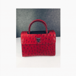 Dior Red Ostrich Mini Diorever Bag
