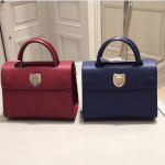 Dior Red and Navy Bullcalf Leather Mini Diorever Bags