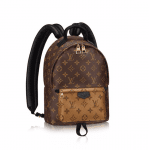 Louis Vuitton Monogram Canvas Palm Springs Backpack PM Bag