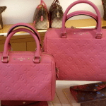 Louis Vuitton Monogram Empreinte Speedy 25 and 20 Bags 2