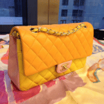 Chanel Multicolor Classic Flap Bag