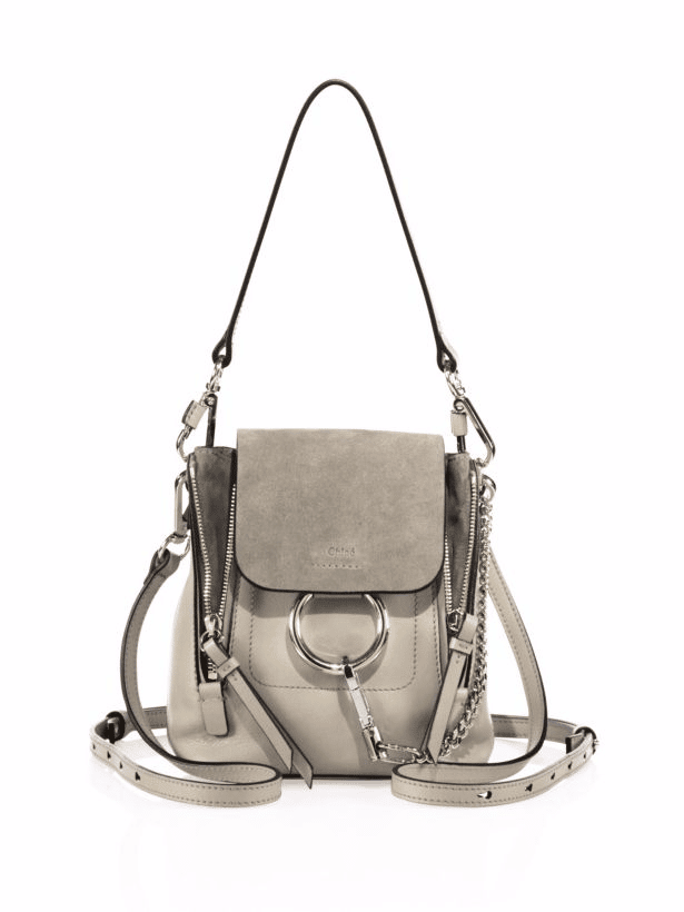 Chloe Faye Backpack Bag Reference Guide - Spotted Fashion