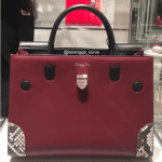 Dior Dark Red/Black Smooth Prestige Calfskin and Roccia Python Diorever Bag with Corners