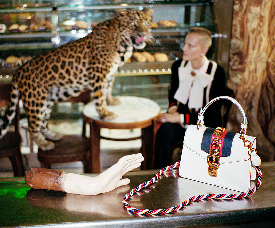 Gucci Spring/Summer 2017 Ad Campaign 13