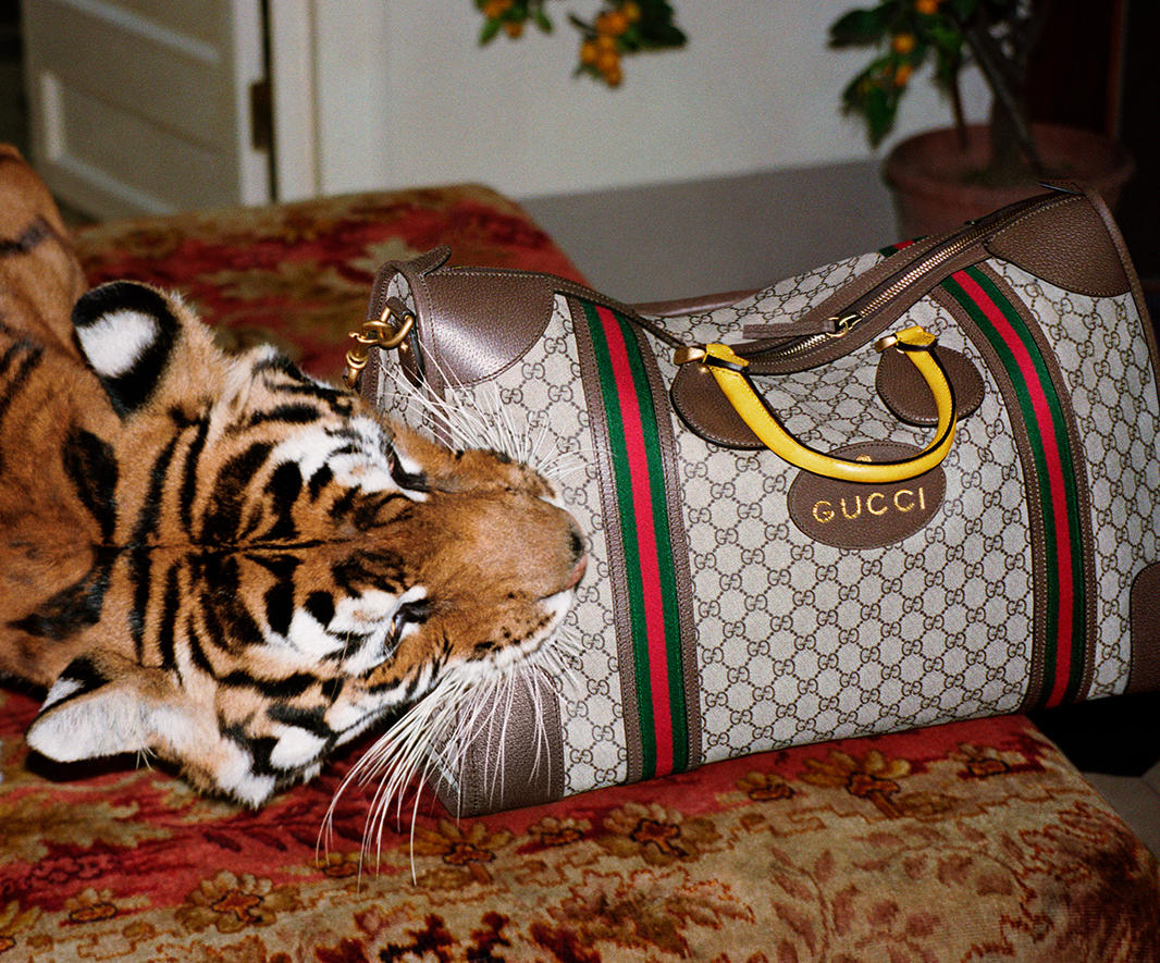Gucci Spring/Summer 2017 Ad Campaign 4