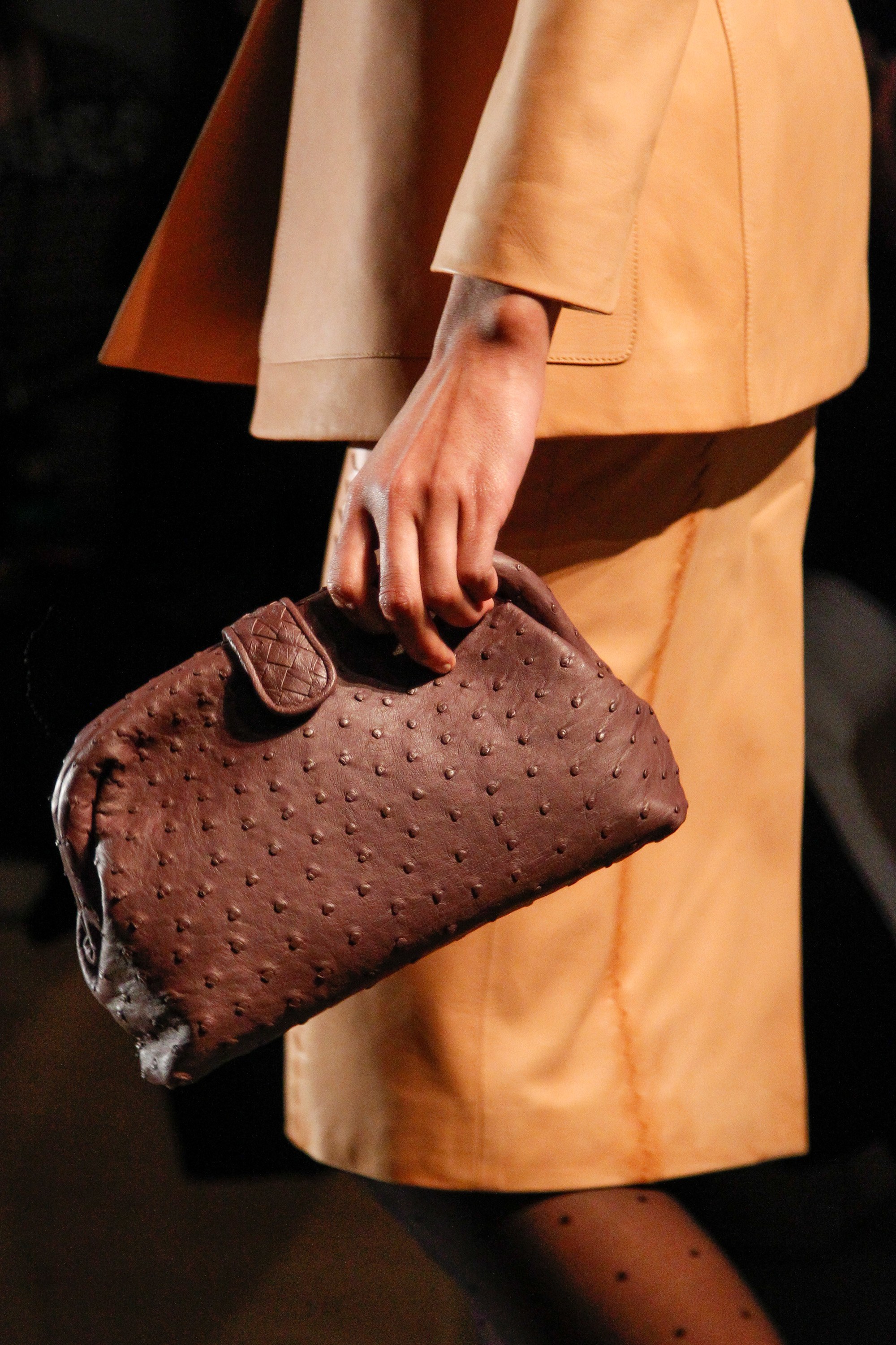 Bottega Veneta Brera Bag Reference Guide - Spotted Fashion