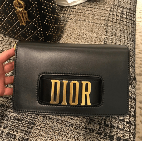 dior evolution bag