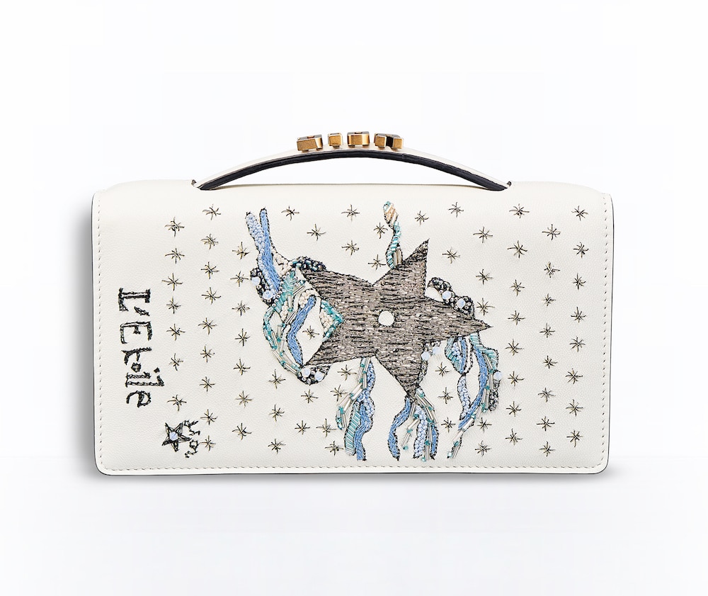 dior star bag