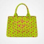 Prada Grass Green Printed Fabric Small Tote Bag