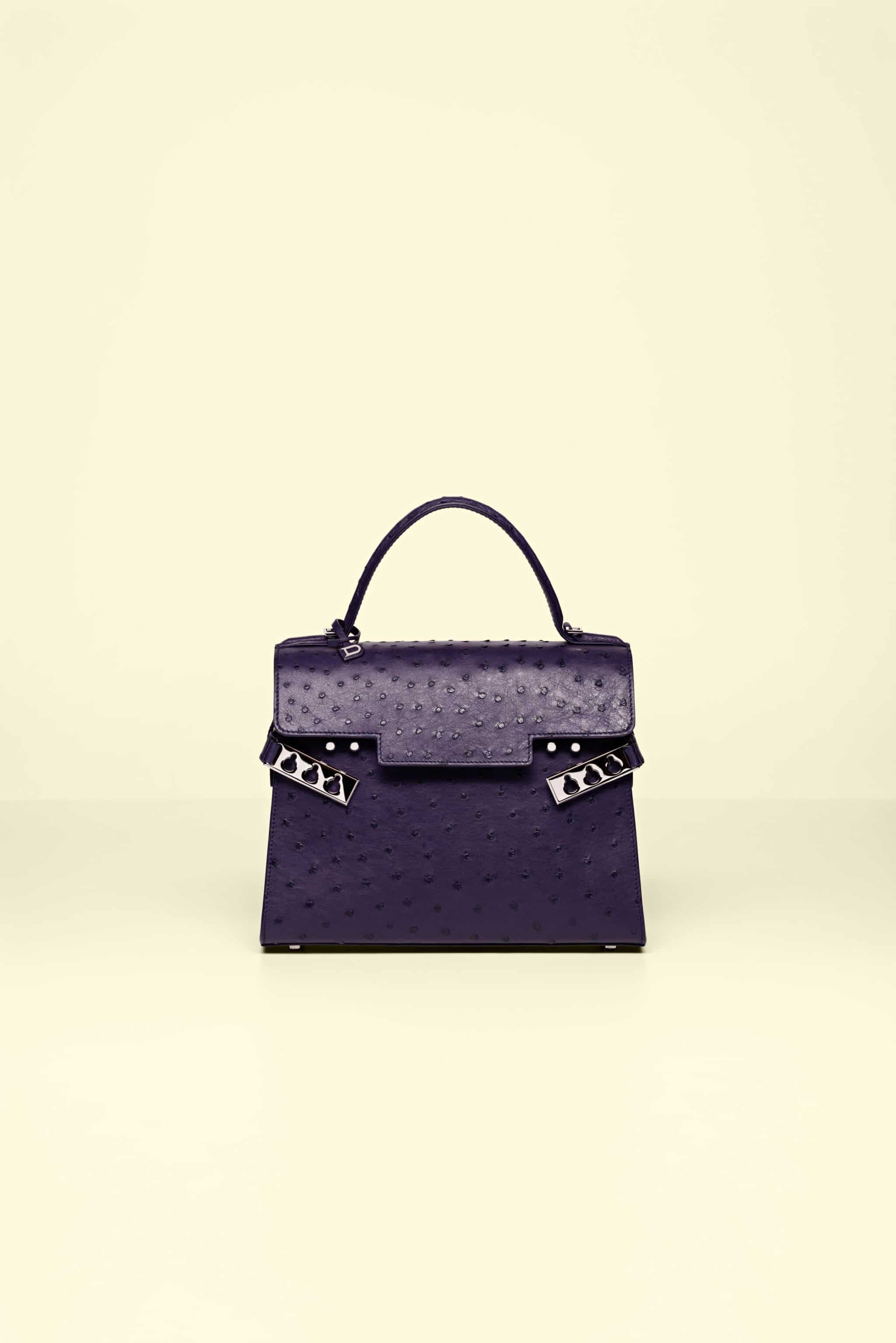 Delvaux Spring/Summer 2017 Bag Collection - Spotted Fashion