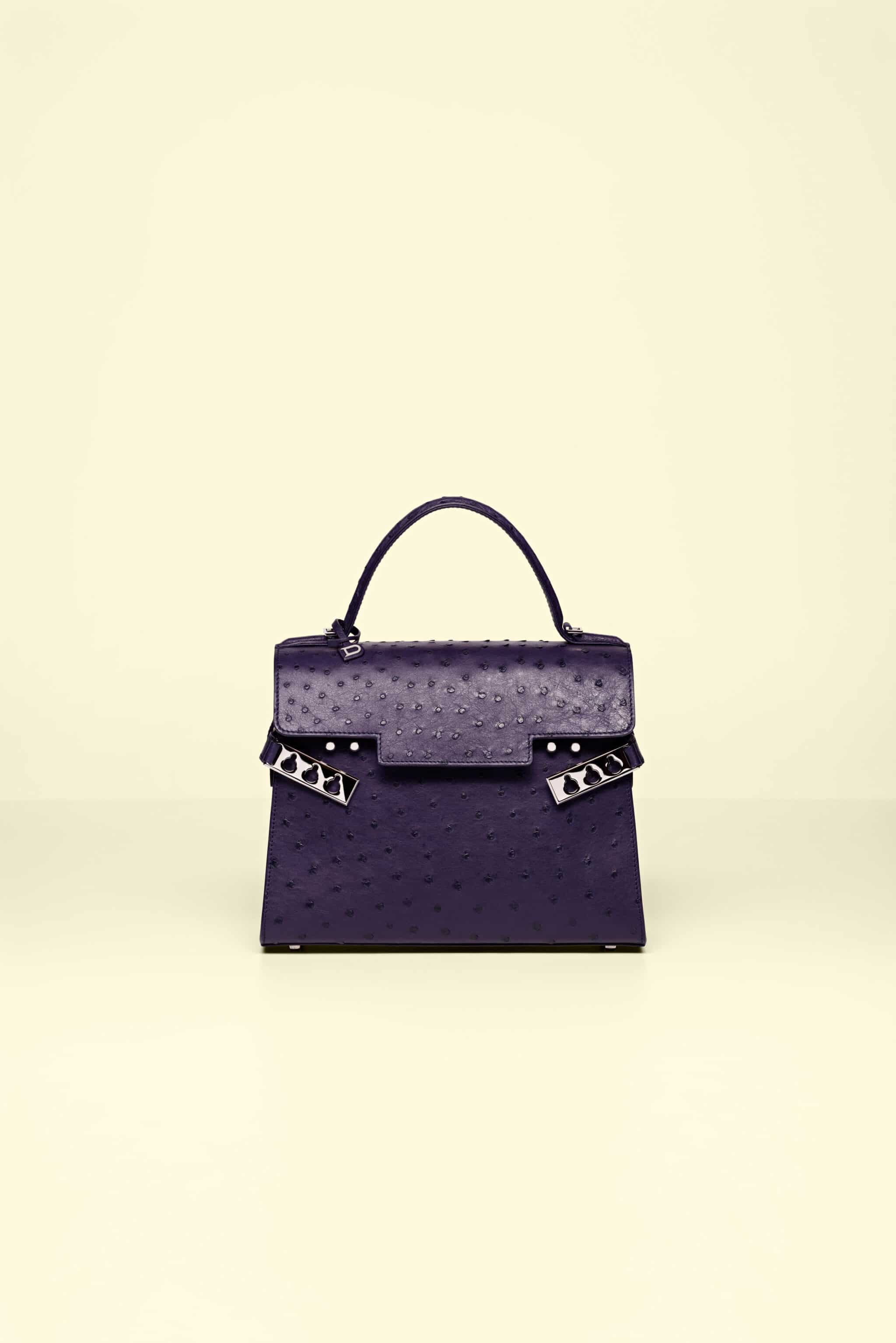 Delvaux Madame Bag Reference Guide - Spotted Fashion