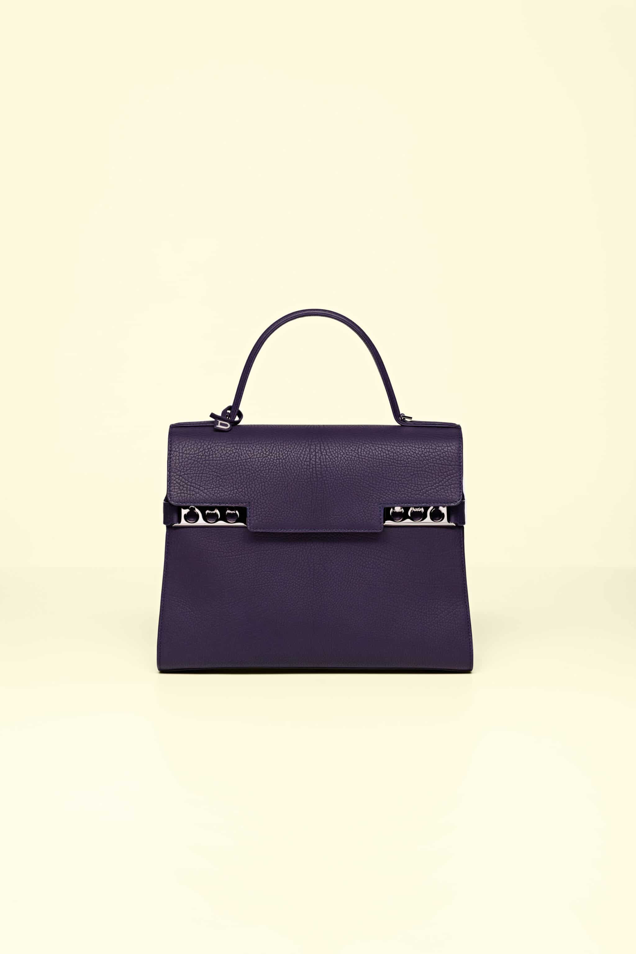 Delvaux Limited Brillant XRay at 1stdibs