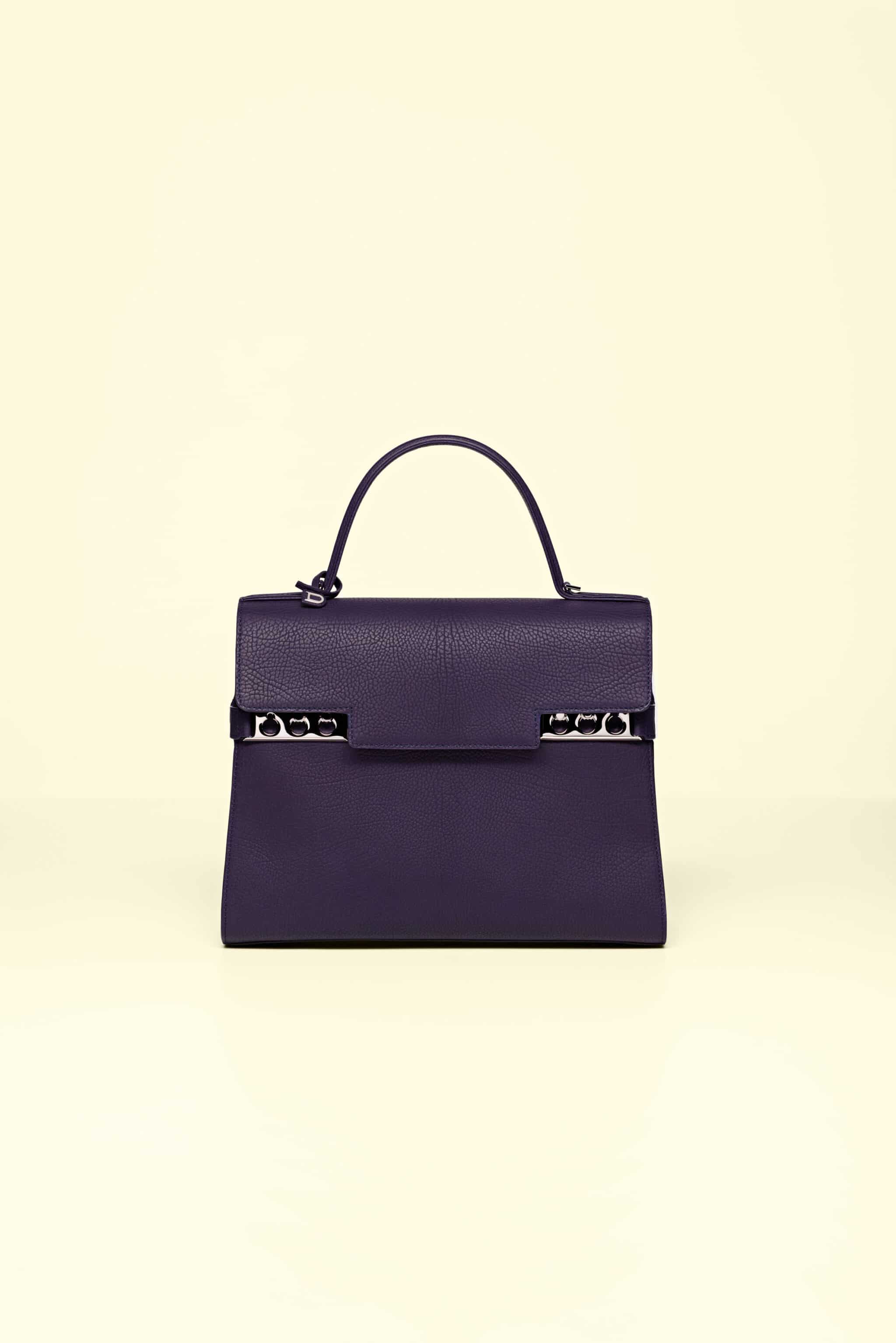 Delvaux Madame Bag Reference Guide - Spotted Fashion