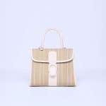 Delvaux Ivory Rainbow Toile de Cuir Brillant MM Bag