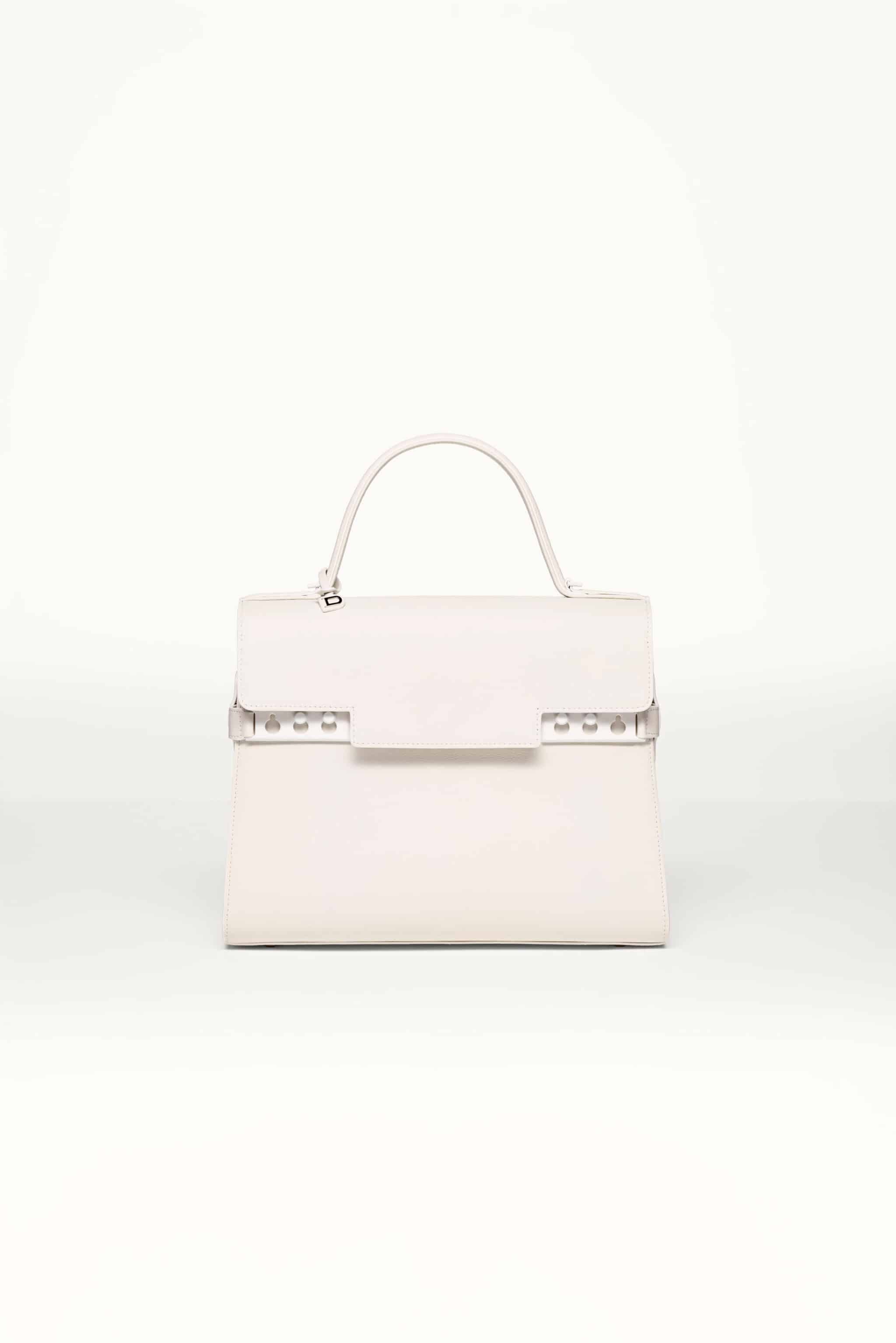 rare DELVAUX 2017 Limited Edition Tempete MM B Papillon lambskin