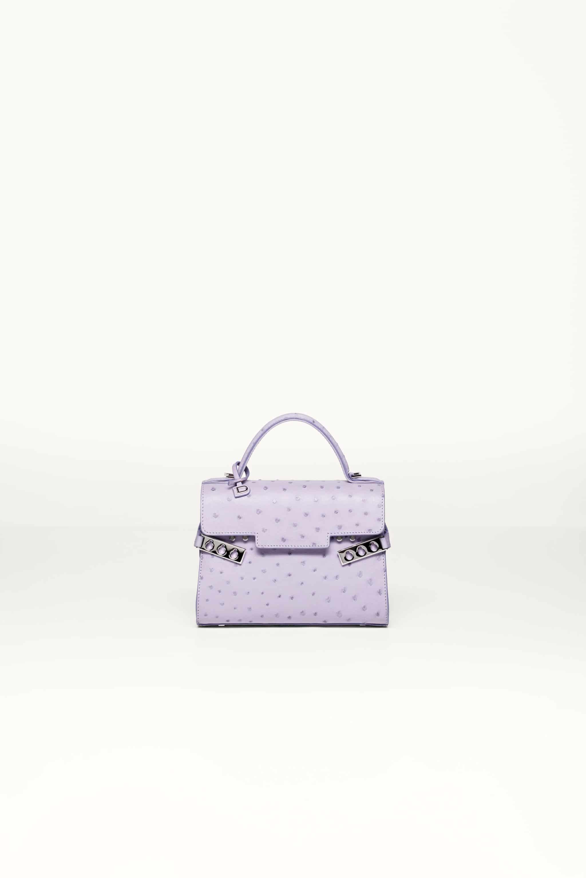 Part 2 Tempete Crush- Delvaux #delvaux #trendingshorts #baglover