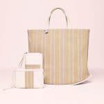 Delvaux Rainbow Toile de Cuir Pin Cabas Bag