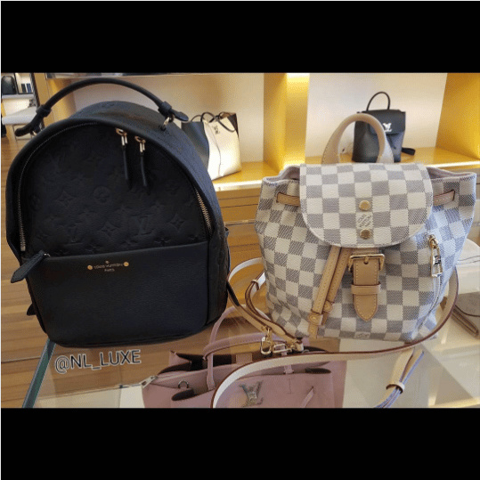 Louis Vuitton Palm Springs Backpack Bag Reference Guide - Spotted Fashion