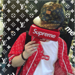 Louis Vuitton x Supreme 10