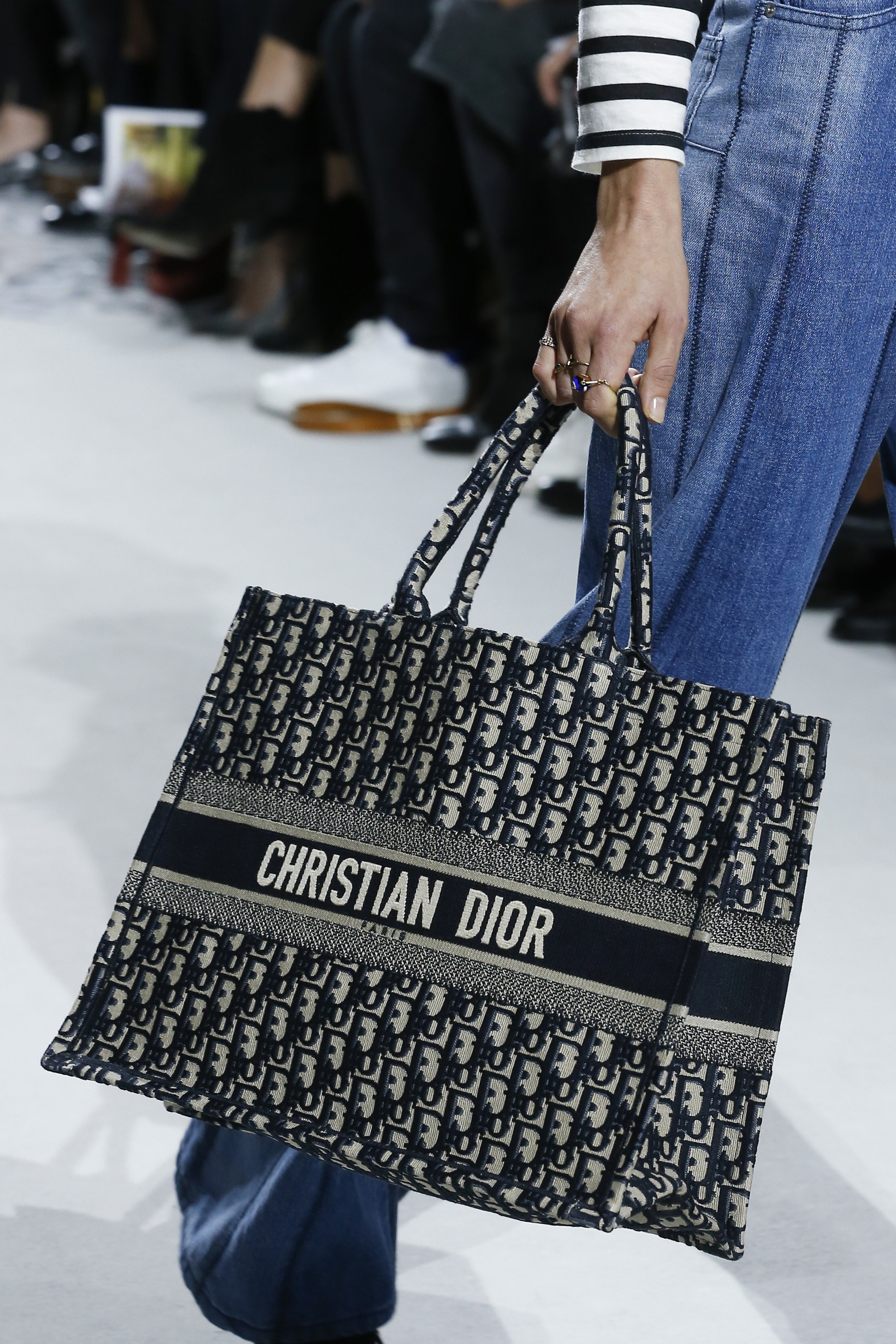 Dior Spring/Summer 2018 Runway Bag 