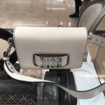 Dior Off-White Canyon Grained Lambskin Dio(r)evolution Flap Bag with Slot Handclasp