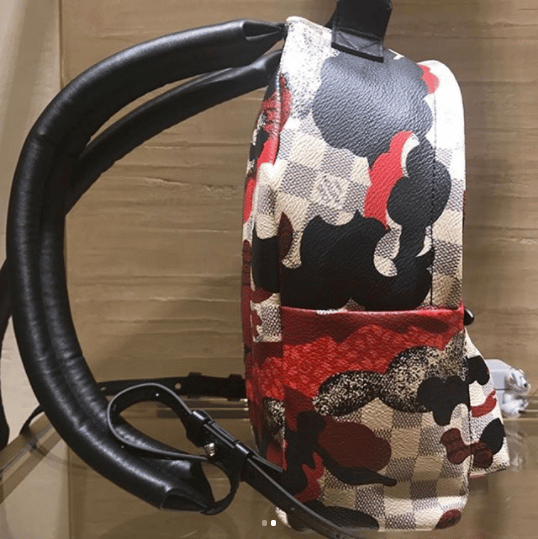 Louis Vuitton Palm Springs Backpack Bag Reference Guide - Spotted Fashion