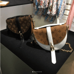 Louis Vuitton Monogram Canvas and Monogram Reverse Saddle Bags