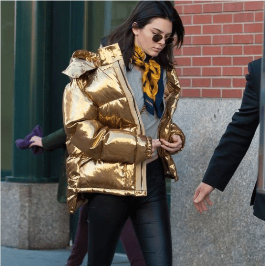 Louis Vuitton Puffer Jacket 2019-20