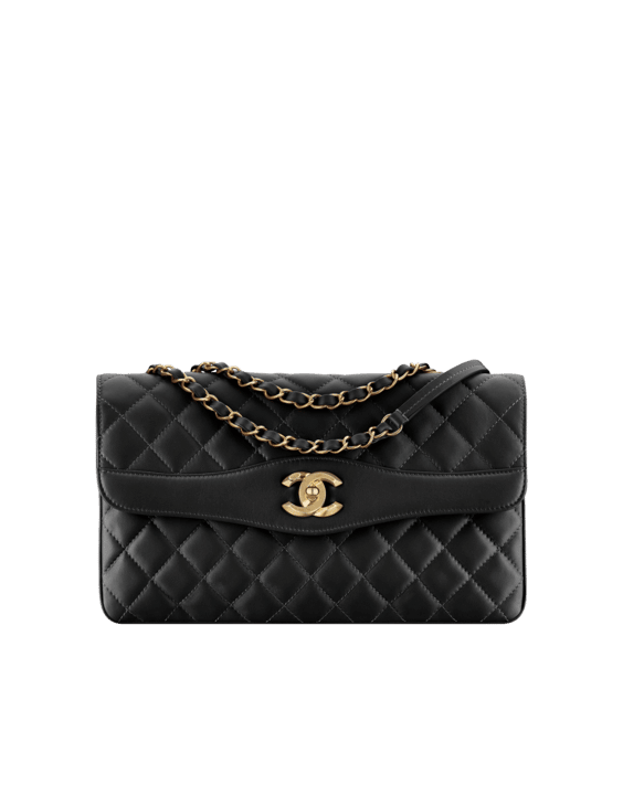 Chanel Daily Companion Bag Reference Guide - Spotted Fashion