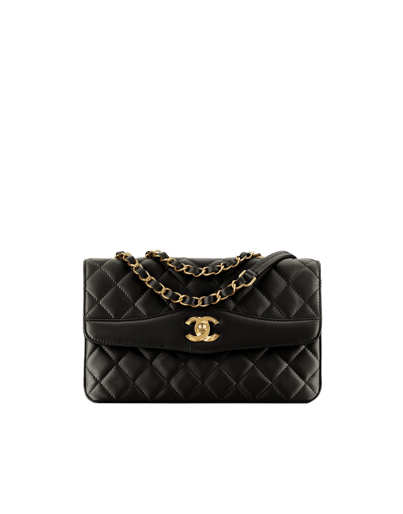 Chanel Daily Companion Bag Reference Guide - Spotted Fashion