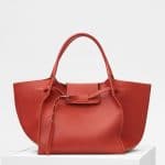 Celine Claycourt Soft Bare Calfskin Medium Big Bag