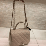 Chanel Beige Citizen Chic Mini Flap Bag 2