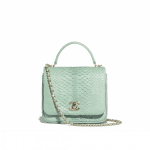 Chanel Green Python Citizen Chic Mini Flap Bag