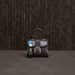 Delvaux Ebene Box Calf Brillant Mini Bag