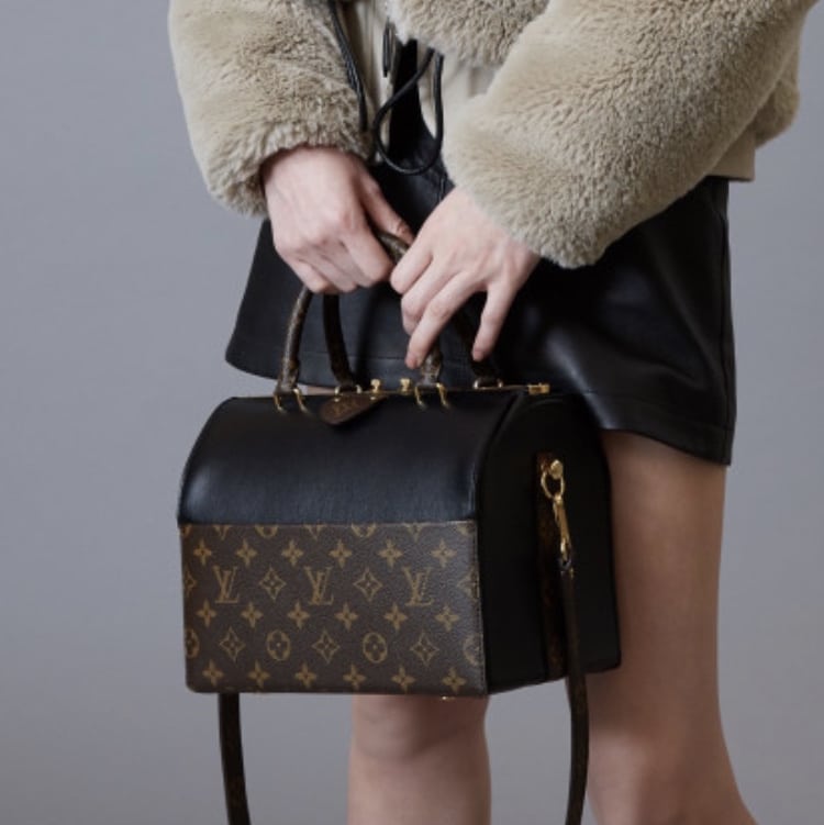 Louis Vuitton Pre-Fall 2018 Bag Collection featuring Speedy Doctor