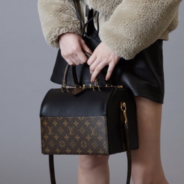 Louis Vuitton Speedy Doctor Bag