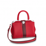 Louis Vuitton Rogue Astrid Bag
