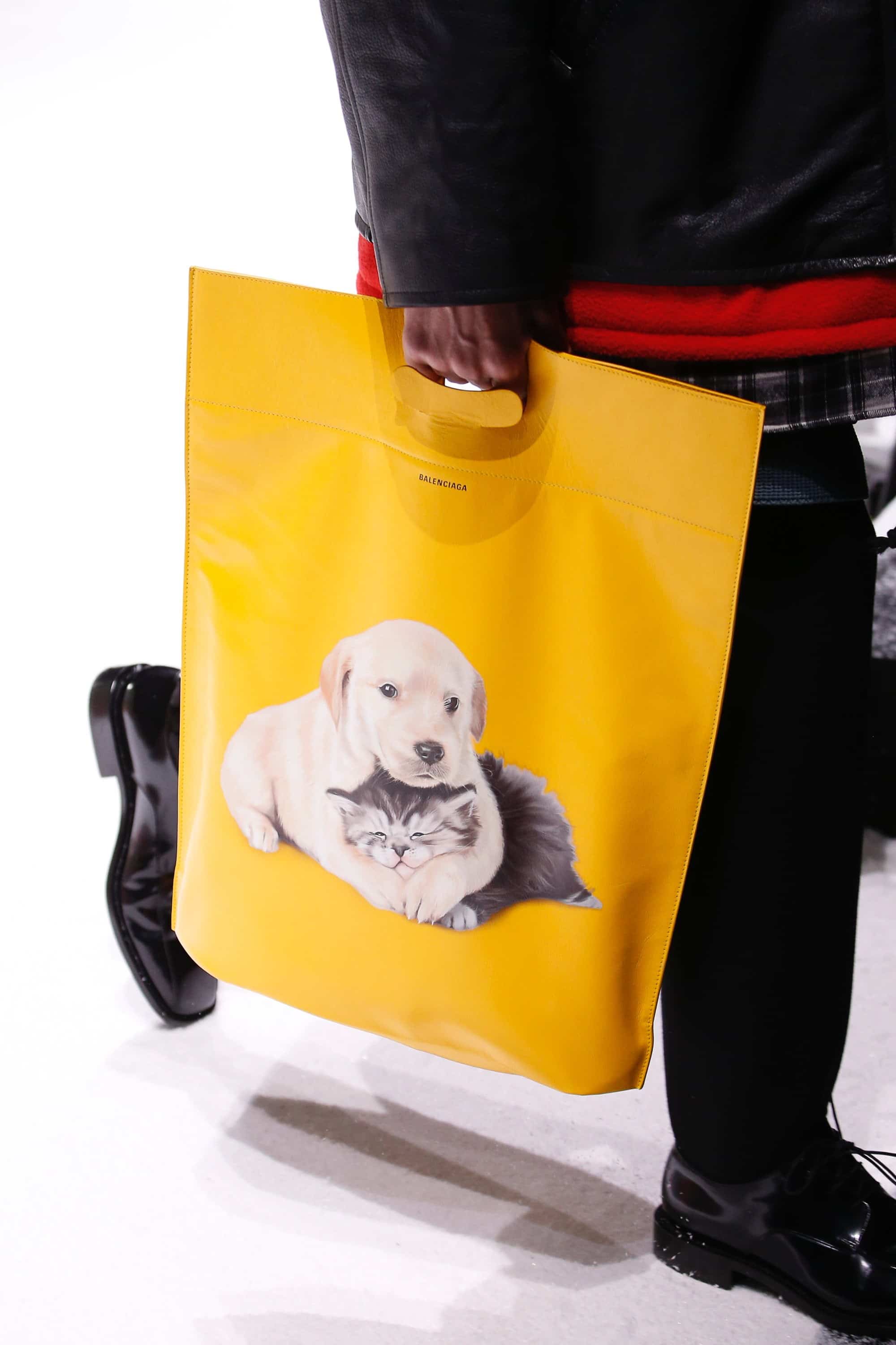 balenciaga dog bag