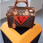 Louis Vuitton Damier Canvas Speedy Bag - Fall 2018