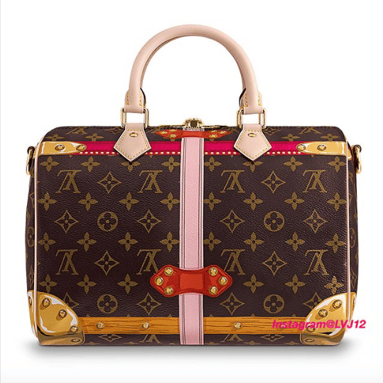 Louis Vuitton Speedy Bandouliere Bag Limited Edition Summer Trunks