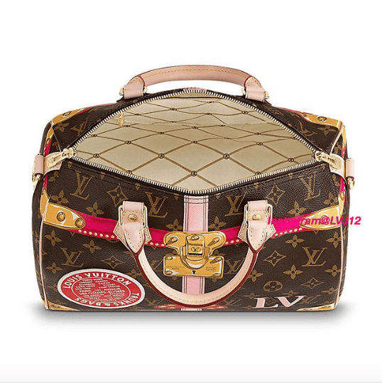 Louis Vuitton Speedy Bandouliere Bag Limited Edition Summer Trunks