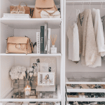 Bag Closet Organization 3